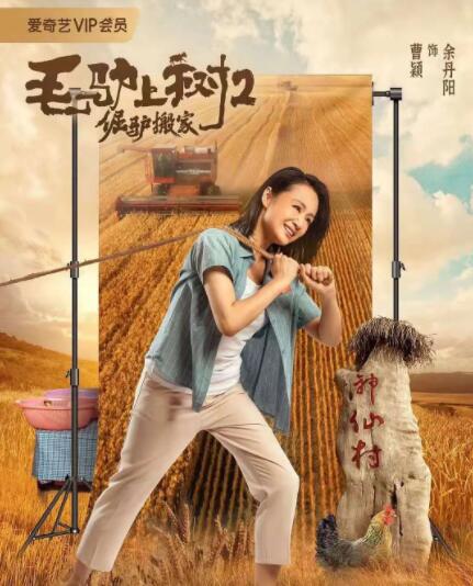男生看的污网站